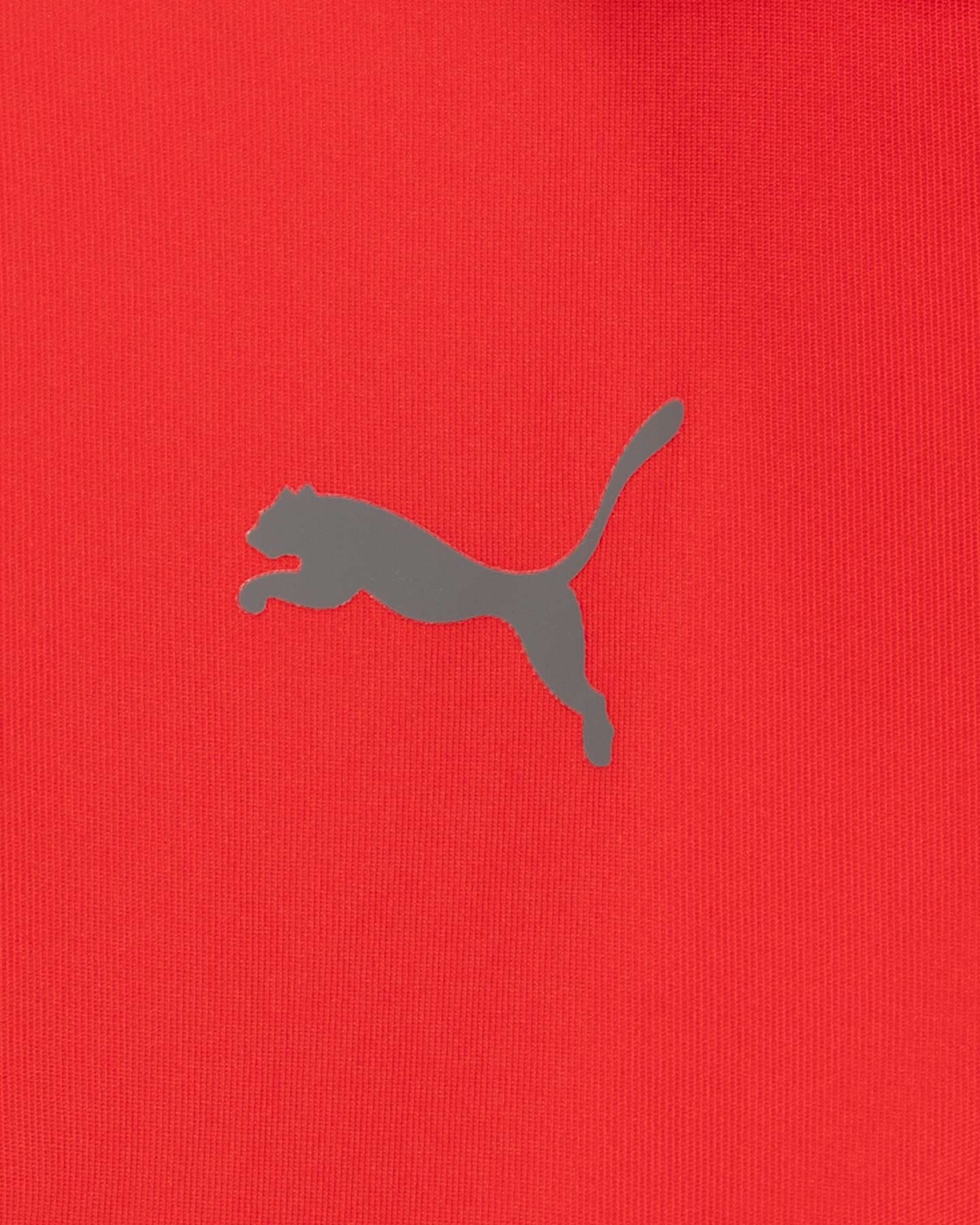 Polo PUMA TEAMLIGA SIDELINE M - Rosso - 2 | Cisalfa Sport